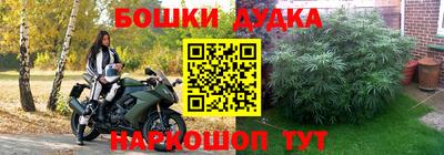 шишки Сланцы