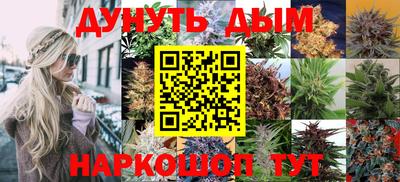 шишки Сланцы