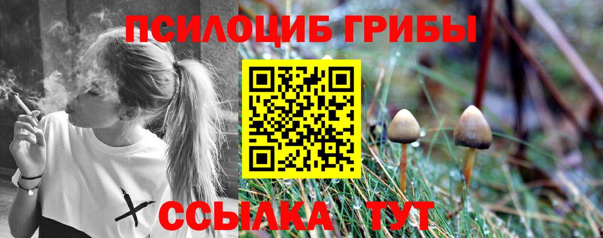 Псилоцибиновые грибы ЛСД Павлово